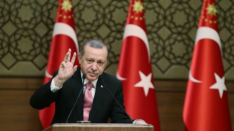 Erdogan billigt Übergang zum präsidentiellen Regierungssystem, Volksabstimmung steht vor